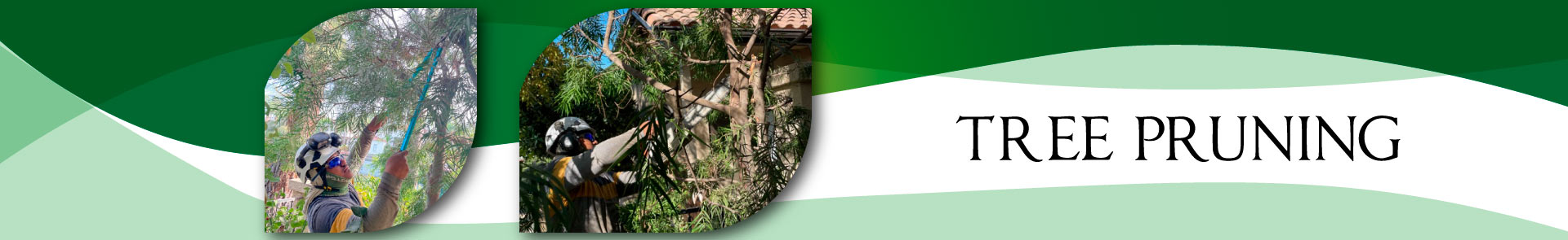 Tree pruning Service