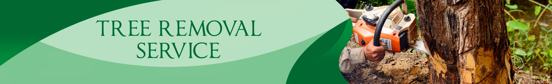 tree-service Service