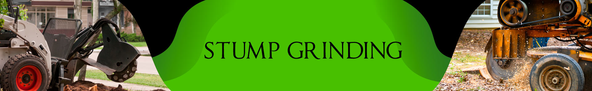 Stump Grinding Service