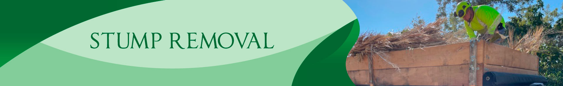 Stump Removal Service