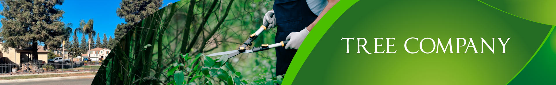 Tree Company Service
