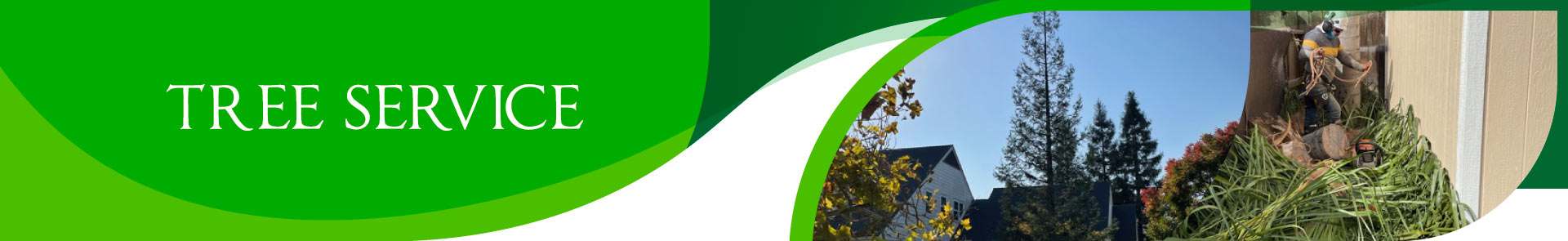 tree-service Service