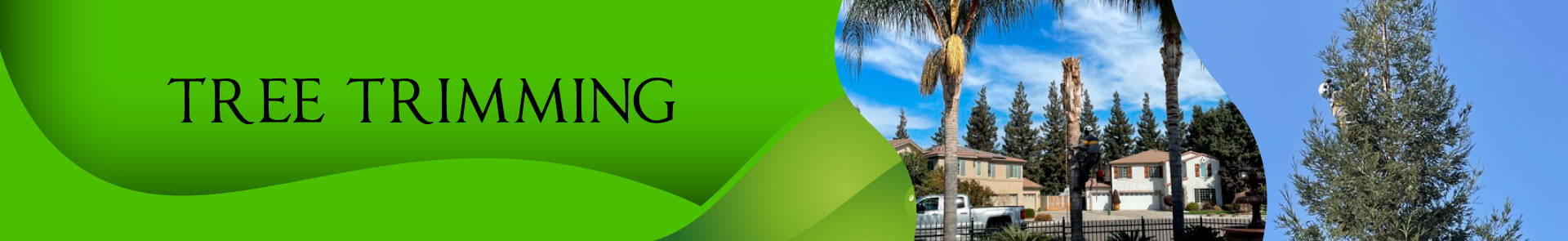 Tree trimming Service