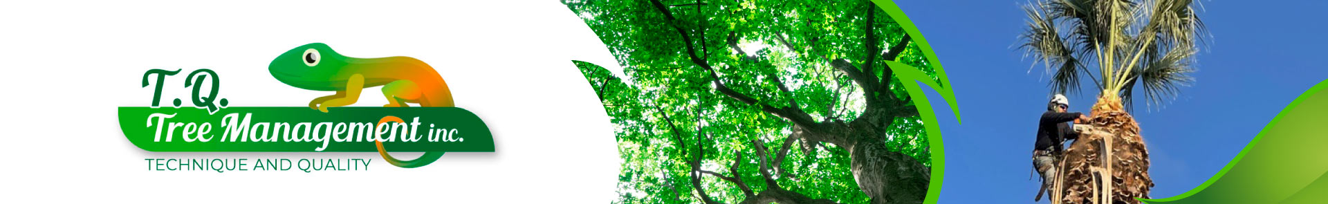 Header - T.Q. Tree Management Inc
