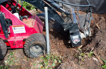 Stump Grinding Visalia