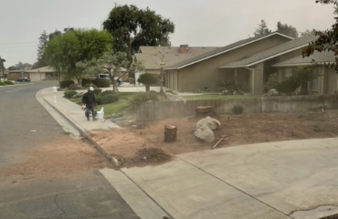 Stump Removal Visalia