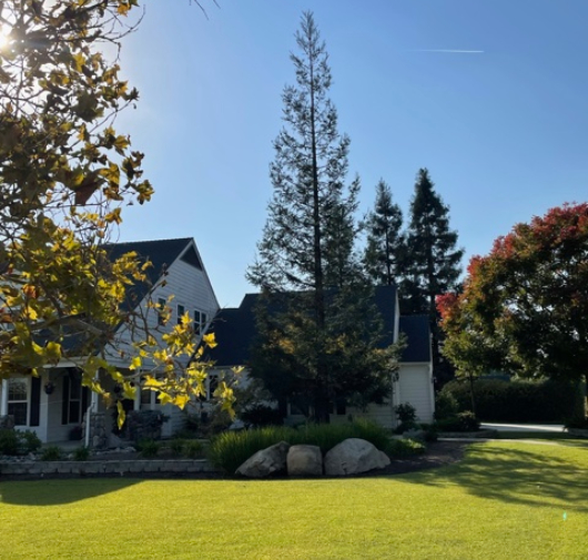 Tree Trimming - T.Q. Tree Management Inc