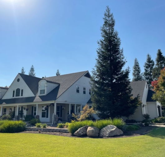 Tree Trimming - T.Q. Tree Management Inc