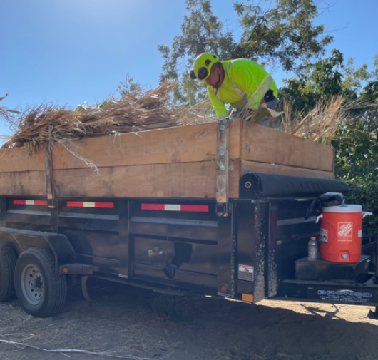 Tree Trimming - T.Q. Tree Management Inc