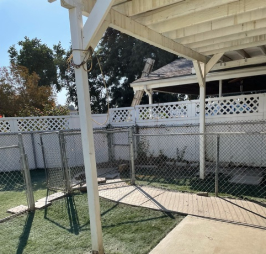 Tree Trimming - T.Q. Tree Management Inc