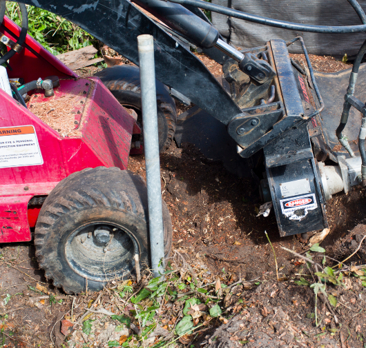 Stump Grinding - T.Q. Tree Management Inc