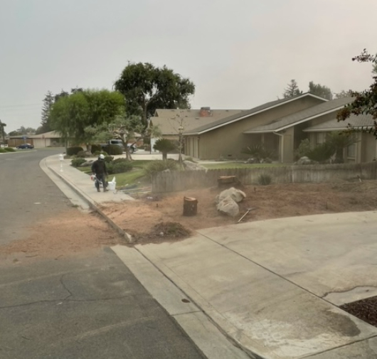 Stump Removal - T.Q. Tree Management Inc